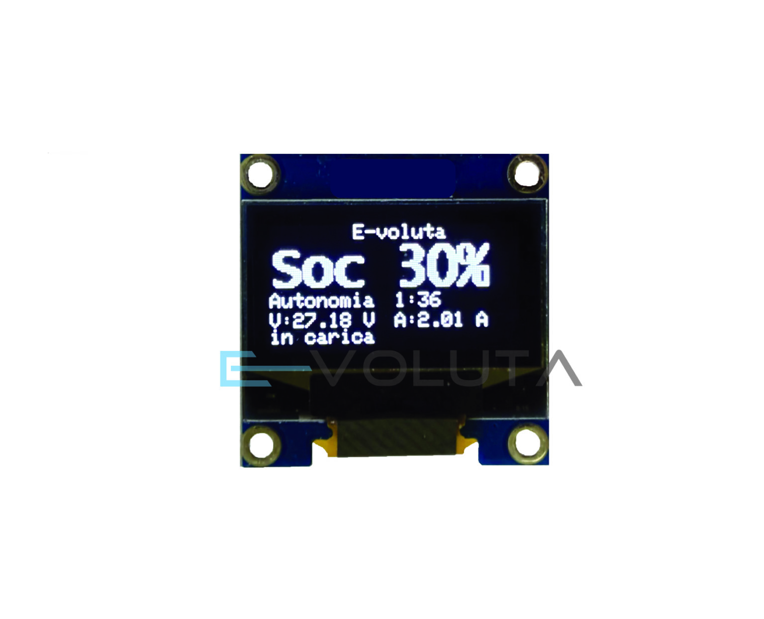 Display BMS E-voluta